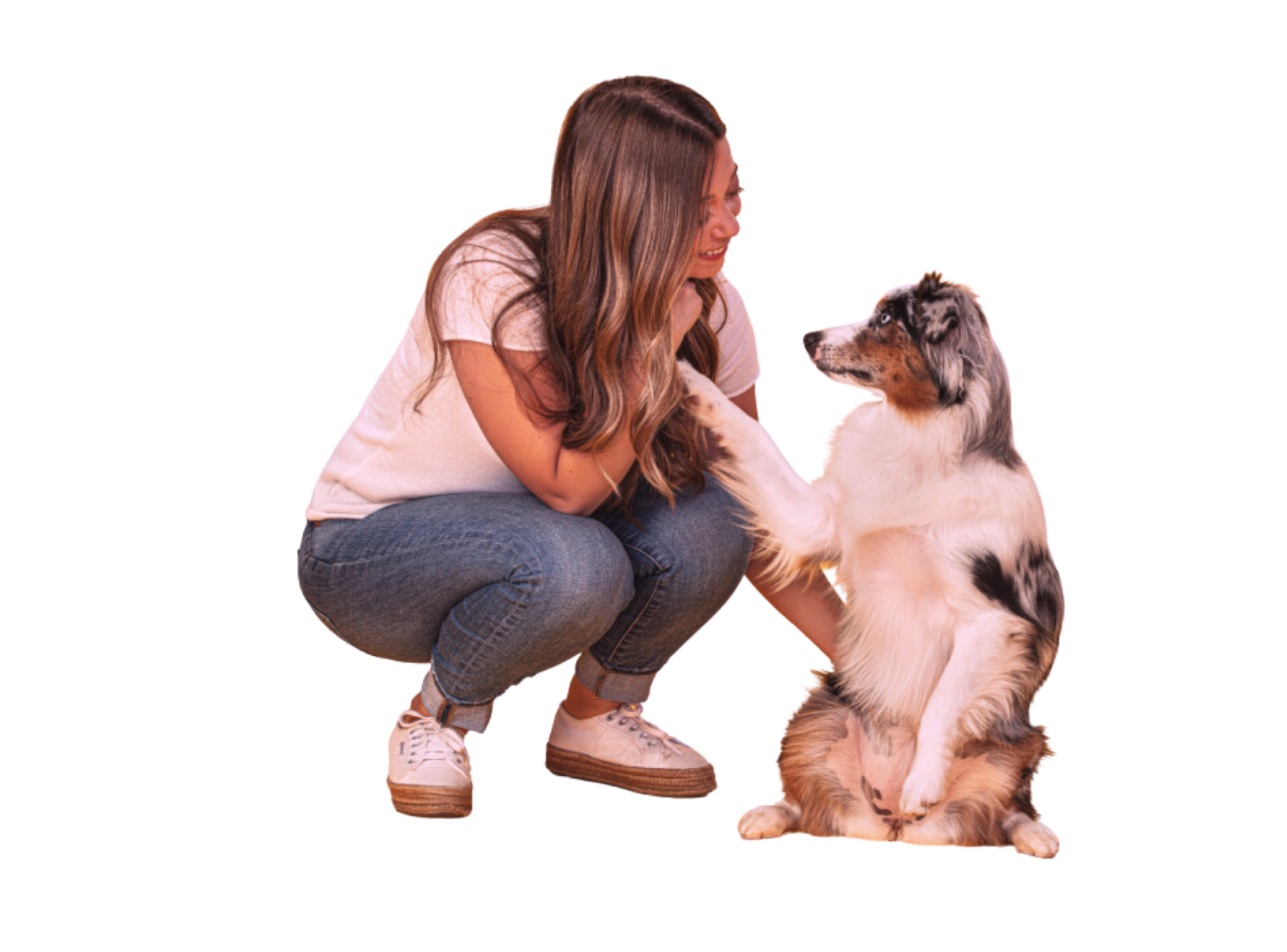 how-to-help-dogs-with-car-sickness